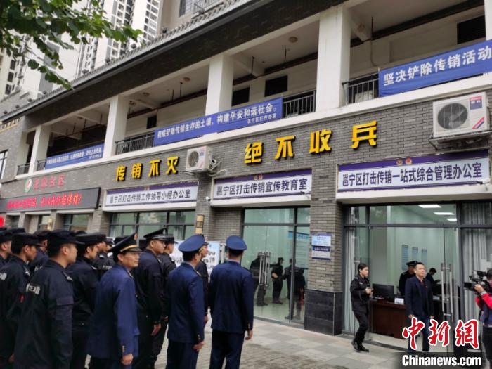 ͼΪ�������רҵ���鼯�� �ֺ� ��